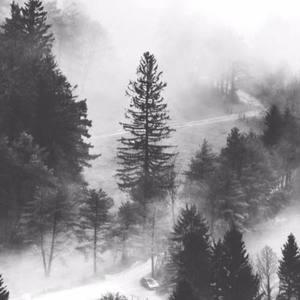 Alivvve资料,Alivvve最新歌曲,AlivvveMV视频,Alivvve音乐专辑,Alivvve好听的歌