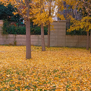 Tun赵星遥资料,Tun赵星遥最新歌曲,Tun赵星遥MV视频,Tun赵星遥音乐专辑,Tun赵星遥好听的歌