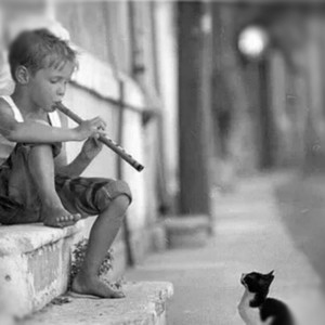 失心的木偶资料,失心的木偶最新歌曲,失心的木偶MV视频,失心的木偶音乐专辑,失心的木偶好听的歌