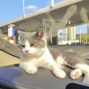 星禾资料,星禾最新歌曲,星禾MV视频,星禾音乐专辑,星禾好听的歌