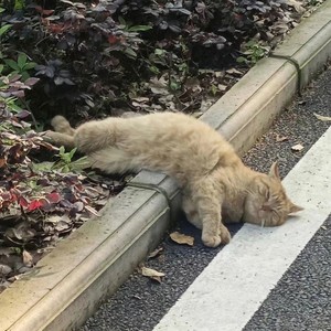 徐浩城资料,徐浩城最新歌曲,徐浩城MV视频,徐浩城音乐专辑,徐浩城好听的歌