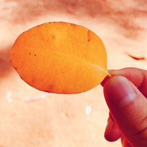 小洋资料,小洋最新歌曲,小洋MV视频,小洋音乐专辑,小洋好听的歌