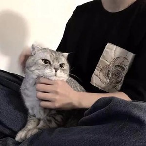 CManta资料,CManta最新歌曲,CMantaMV视频,CManta音乐专辑,CManta好听的歌