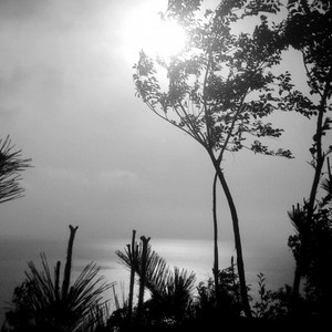 jarontoy资料,jarontoy最新歌曲,jarontoyMV视频,jarontoy音乐专辑,jarontoy好听的歌