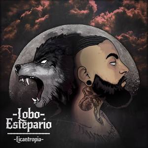 Lobo Estepario