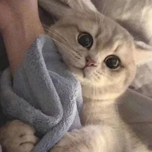 李一鸣llx资料,李一鸣llx最新歌曲,李一鸣llxMV视频,李一鸣llx音乐专辑,李一鸣llx好听的歌