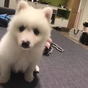 kk资料,kk最新歌曲,kkMV视频,kk音乐专辑,kk好听的歌