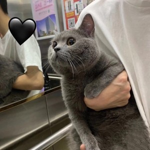 陈半首.资料,陈半首.最新歌曲,陈半首.MV视频,陈半首.音乐专辑,陈半首.好听的歌