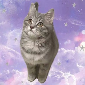 崔妍资料,崔妍最新歌曲,崔妍MV视频,崔妍音乐专辑,崔妍好听的歌