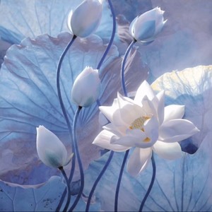 ShukuHuoi资料,ShukuHuoi最新歌曲,ShukuHuoiMV视频,ShukuHuoi音乐专辑,ShukuHuoi好听的歌