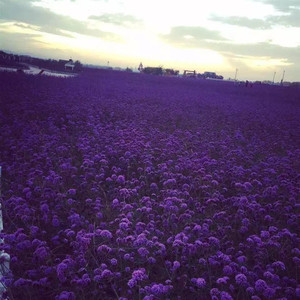 赵津汉资料,赵津汉最新歌曲,赵津汉MV视频,赵津汉音乐专辑,赵津汉好听的歌