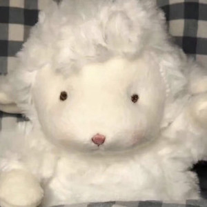 X-YOUNG资料,X-YOUNG最新歌曲,X-YOUNGMV视频,X-YOUNG音乐专辑,X-YOUNG好听的歌