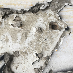 Sora Lion资料,Sora Lion最新歌曲,Sora LionMV视频,Sora Lion音乐专辑,Sora Lion好听的歌