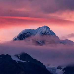 金霞资料,金霞最新歌曲,金霞MV视频,金霞音乐专辑,金霞好听的歌