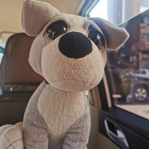 Dorothy资料,Dorothy最新歌曲,DorothyMV视频,Dorothy音乐专辑,Dorothy好听的歌