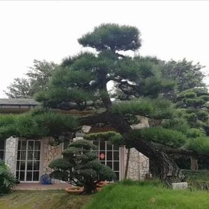 黄小峰资料,黄小峰最新歌曲,黄小峰MV视频,黄小峰音乐专辑,黄小峰好听的歌