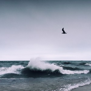 Kinmonk资料,Kinmonk最新歌曲,KinmonkMV视频,Kinmonk音乐专辑,Kinmonk好听的歌