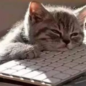 小芳芳W资料,小芳芳W最新歌曲,小芳芳WMV视频,小芳芳W音乐专辑,小芳芳W好听的歌