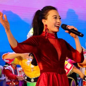 刘雪鸣资料,刘雪鸣最新歌曲,刘雪鸣MV视频,刘雪鸣音乐专辑,刘雪鸣好听的歌