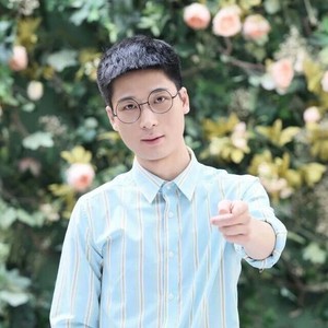刘永情 - 想你的痛