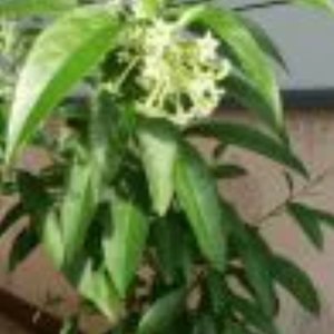 水滴2009资料,水滴2009最新歌曲,水滴2009MV视频,水滴2009音乐专辑,水滴2009好听的歌