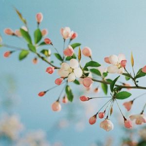 Fan资料,Fan最新歌曲,FanMV视频,Fan音乐专辑,Fan好听的歌