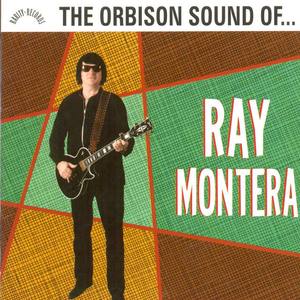 Ray Montera资料,Ray Montera最新歌曲,Ray MonteraMV视频,Ray Montera音乐专辑,Ray Montera好听的歌