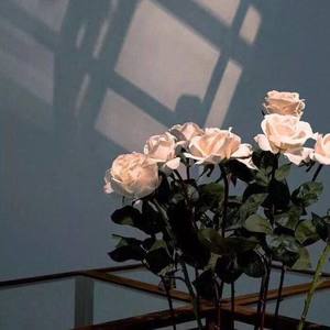 深林鹿资料,深林鹿最新歌曲,深林鹿MV视频,深林鹿音乐专辑,深林鹿好听的歌