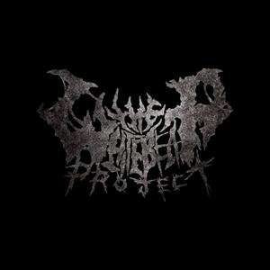 The White Bear Project资料,The White Bear Project最新歌曲,The White Bear ProjectMV视频,The White Bear Project音乐专辑,The White Bear Project好听的歌