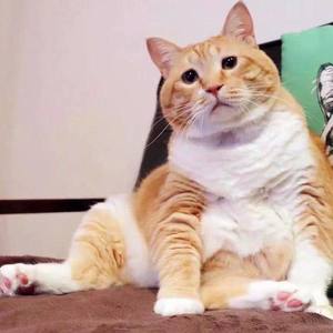 甜久资料,甜久最新歌曲,甜久MV视频,甜久音乐专辑,甜久好听的歌