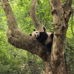 快歌曲艺资料,快歌曲艺最新歌曲,快歌曲艺MV视频,快歌曲艺音乐专辑,快歌曲艺好听的歌