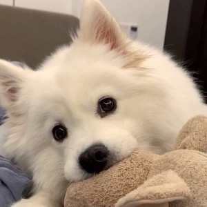 发財资料,发財最新歌曲,发財MV视频,发財音乐专辑,发財好听的歌