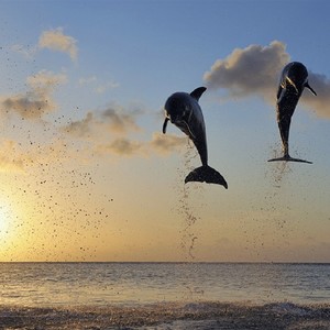 麦客风资料,麦客风最新歌曲,麦客风MV视频,麦客风音乐专辑,麦客风好听的歌