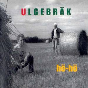 Ulgebräk