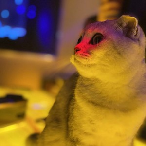 梦醒资料,梦醒最新歌曲,梦醒MV视频,梦醒音乐专辑,梦醒好听的歌