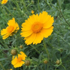 自诚自明资料,自诚自明最新歌曲,自诚自明MV视频,自诚自明音乐专辑,自诚自明好听的歌