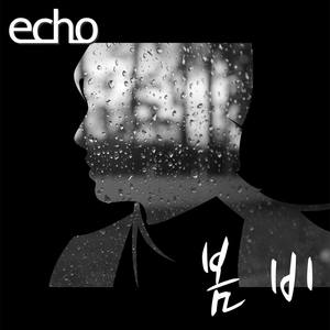 Echo