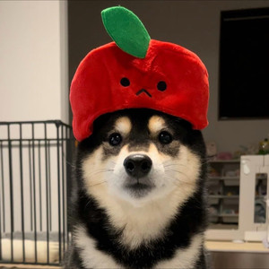 Fortune资料,Fortune最新歌曲,FortuneMV视频,Fortune音乐专辑,Fortune好听的歌