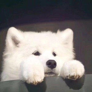 扇子舞 (COVER版)