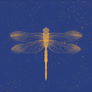 蜻蜓音乐社资料,蜻蜓音乐社最新歌曲,蜻蜓音乐社MV视频,蜻蜓音乐社音乐专辑,蜻蜓音乐社好听的歌