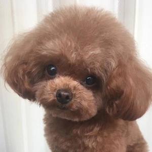 陈天田资料,陈天田最新歌曲,陈天田MV视频,陈天田音乐专辑,陈天田好听的歌