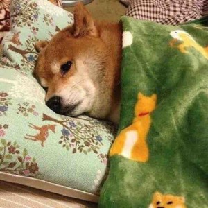 Fone资料,Fone最新歌曲,FoneMV视频,Fone音乐专辑,Fone好听的歌