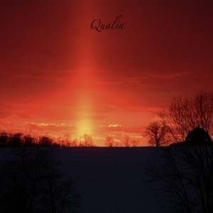 Qualia资料,Qualia最新歌曲,QualiaMV视频,Qualia音乐专辑,Qualia好听的歌