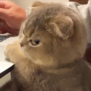 唯爱懒懒