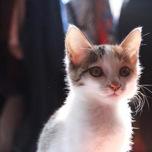 飞霜资料,飞霜最新歌曲,飞霜MV视频,飞霜音乐专辑,飞霜好听的歌