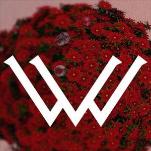 Waeys资料,Waeys最新歌曲,WaeysMV视频,Waeys音乐专辑,Waeys好听的歌