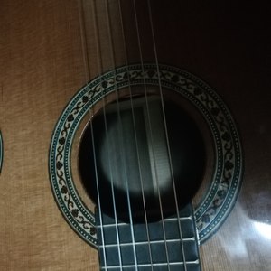 泥土里的吉他资料,泥土里的吉他最新歌曲,泥土里的吉他MV视频,泥土里的吉他音乐专辑,泥土里的吉他好听的歌