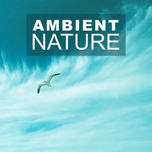 Nature Sound Series资料,Nature Sound Series最新歌曲,Nature Sound SeriesMV视频,Nature Sound Series音乐专辑,Nature Sound Series好听的歌