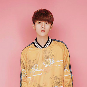 颜乐 - Illusionary Daytime