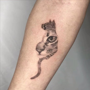 阿无资料,阿无最新歌曲,阿无MV视频,阿无音乐专辑,阿无好听的歌